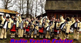 Radio Veselia Folclor LOGO