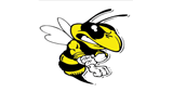 Mad Wasp Radio LOGO