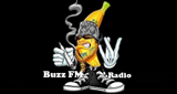 Buzz FM LOGO