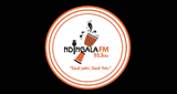 Ndingala Fm 93.3 Mhz LOGO