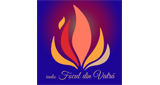 Focul din Vatră LOGO