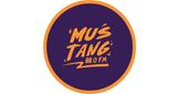 Mustang 88 FM LOGO