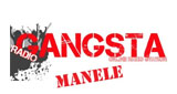Radio Gangsta LOGO