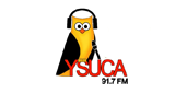 YSUCA LOGO