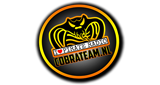Cobra Team Radio LOGO