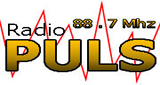 Radio Puls Grocka LOGO