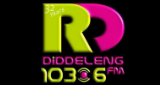 Radio Diddeleng LOGO