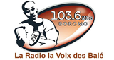 Radio la Voix des Balé LOGO