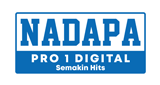 Nadapa Pro 1 Digital LOGO